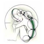Logo von DAGC-Chiropraktiker Axel Schuster