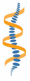 Logo von DAGC-Chiropraktiker Rainer Schwabe